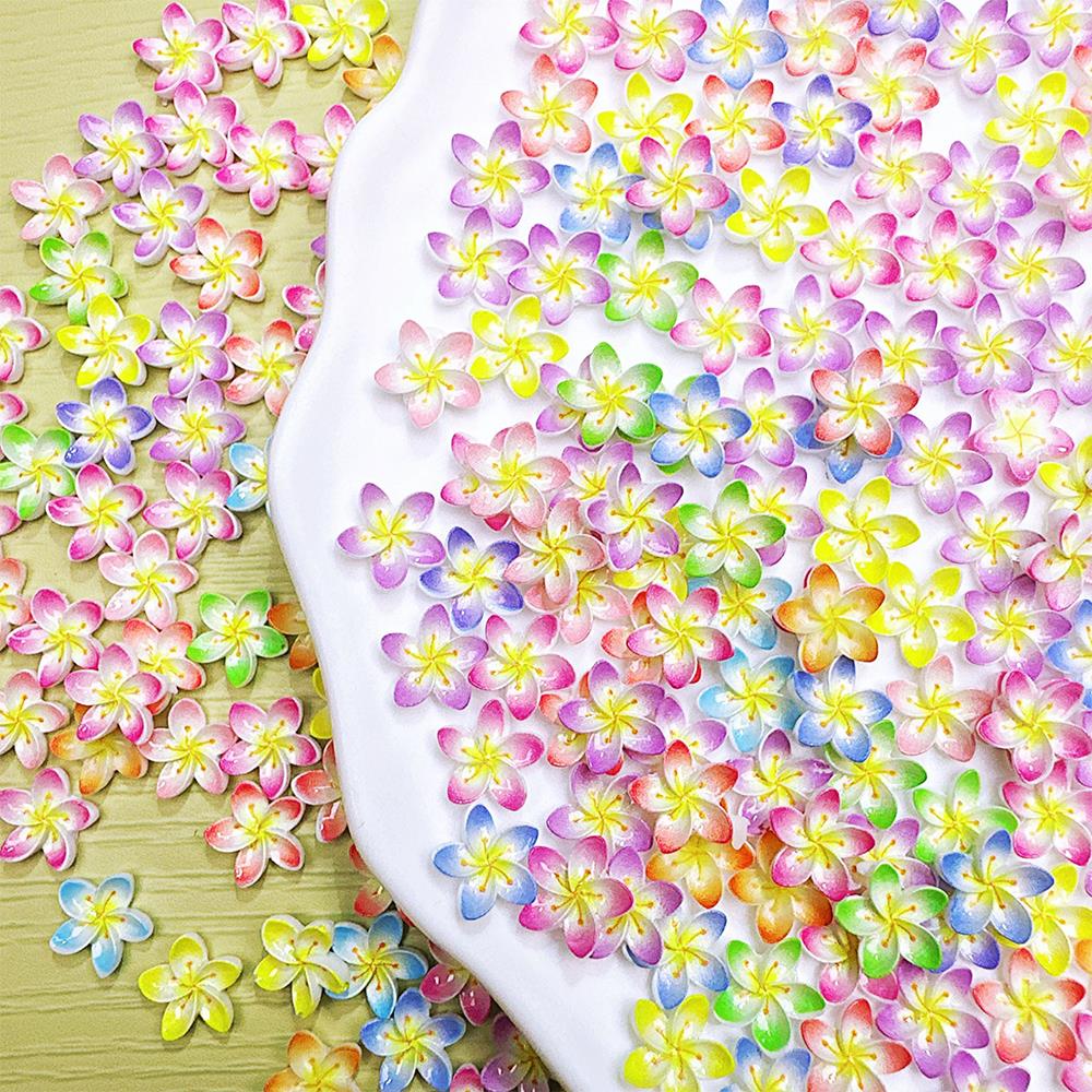 50 Adet 3D Degrade Plumeria Çi - Resin Art Beach incelemesi ve fiyatı