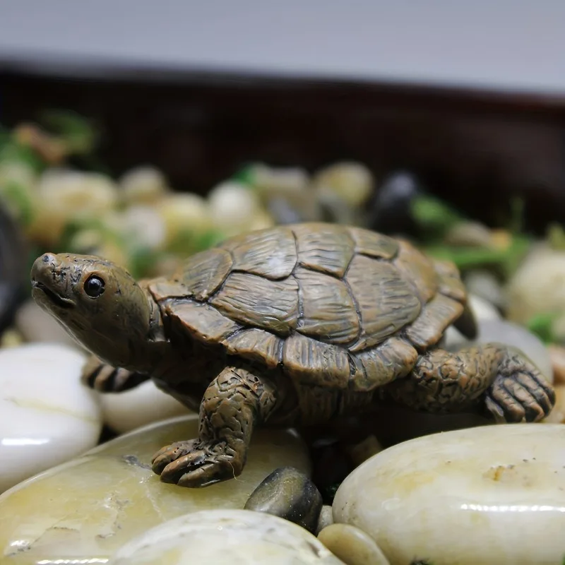 Büyüleyici Deniz Kaplumbağası  - Resin Art Beach incelemesi ve fiyatı